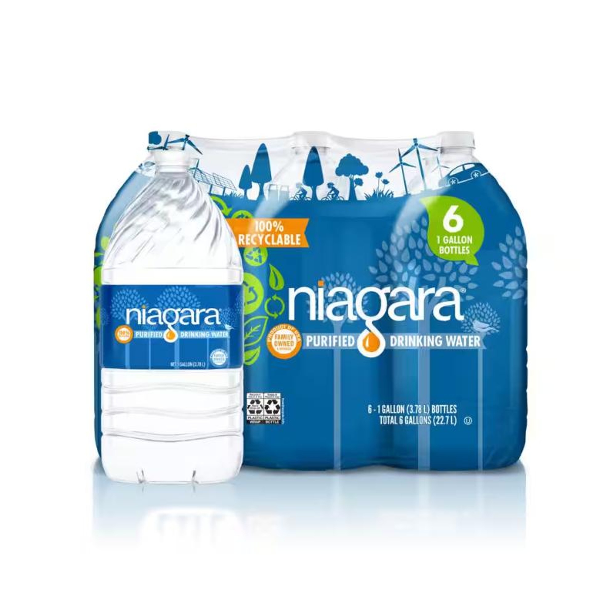 Niagara Water 1GAL 6PK