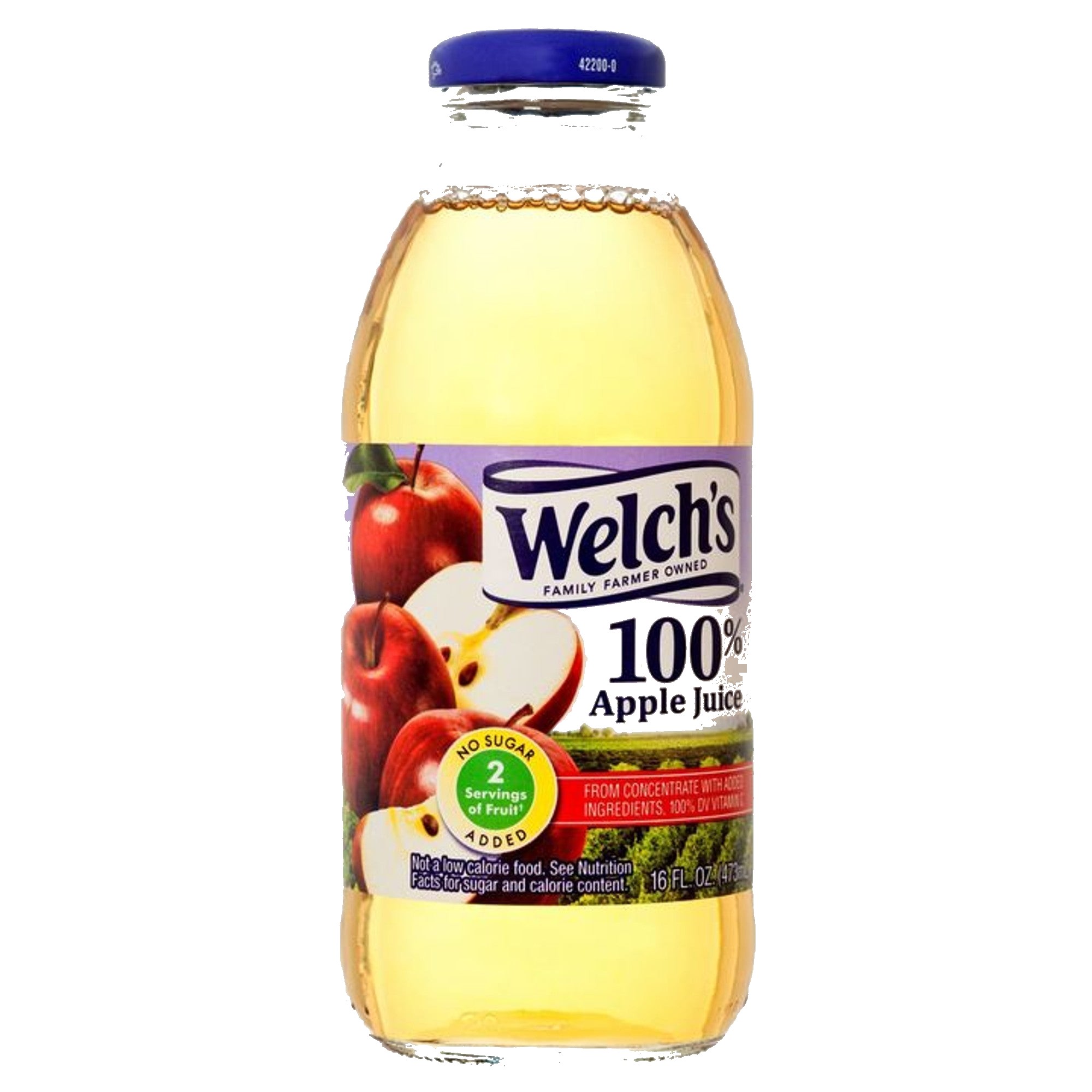 Welch's Apple Juice 16.9 OZ 12PK